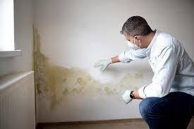  Aberdeen Proving Ground, MD Mold Removal Services Pros